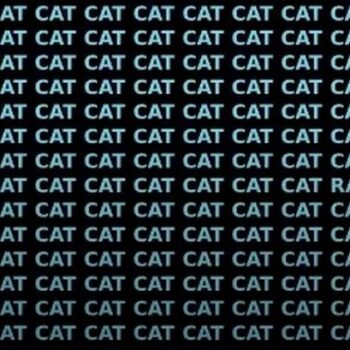 Just 3 percent of people can find the rat in this sea of cats in less than seven seconds