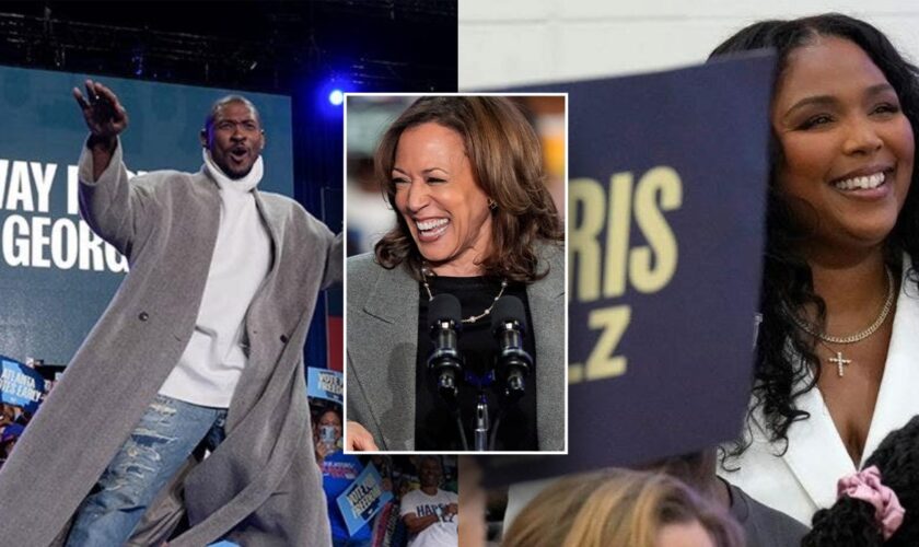 Harris recruits pop stars Usher, Lizzo for swing state pushes: 'It's going to be a tight race'