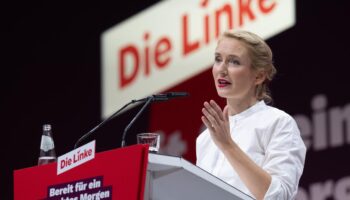 Die Linke: Linken-Parteitag stimmt gegen bedingungsloses Grundeinkommen