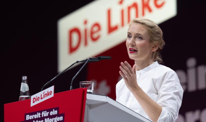 Die Linke: Linken-Parteitag stimmt gegen bedingungsloses Grundeinkommen