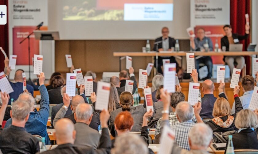 Baden-Württemberg: Das BSW zielt im Autoland auf die Facharbeiter