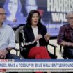 Democratic governors pressed on why Trump and Harris are neck-and-neck in 'blue wall' states: 'Razor-thin'