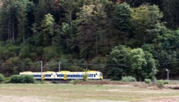 Verwirrt wirkende Frau greift Fahrgäste mit spitzem Gegenstand an