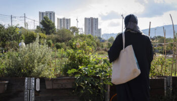 Ecologie populaire : à Marseille, la ferme urbaine du Talus veut «créer un lien» avec la cité d’Air-Bel