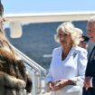 King Charles and Queen Camilla are greeted by Ngunnawal Elder Aunty Serena Williams. Pic: Saeed Khan/Pool Photo via AP