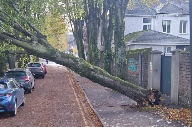 Storm Ashley sparks major power cuts as tens of thousands left without electricity