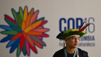 COP16 biodiversité : en Colombie, les Amérindiens veulent mettre les projecteurs sur l’Amazonie