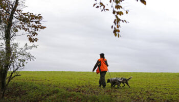 Dans la Somme, un maire agressé par des chasseurs à qui il demandait de s’éloigner des habitations