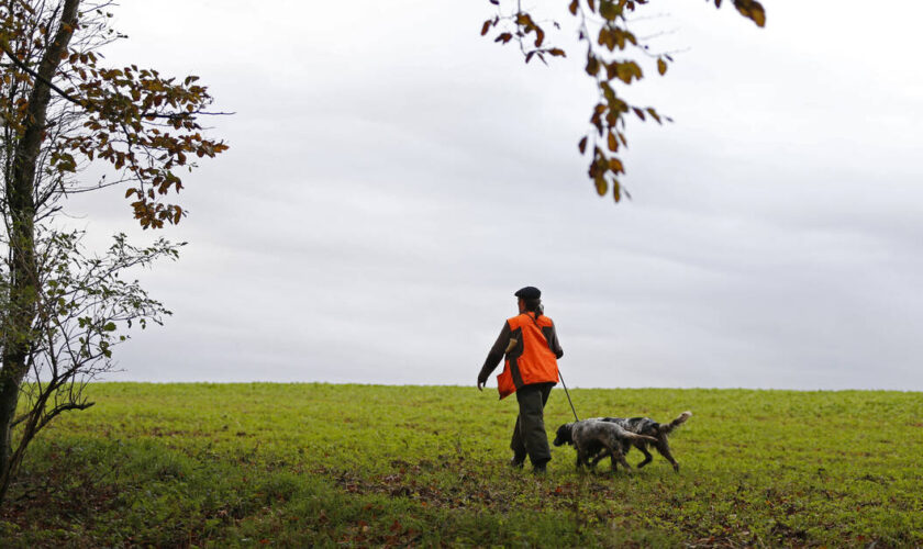 Dans la Somme, un maire agressé par des chasseurs à qui il demandait de s’éloigner des habitations