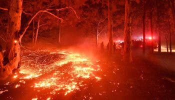 Studien zum Klimawandel: Klimawandel wird für Wälder und Menschen bedrohlicher