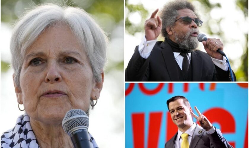 Présidentielle américaine : Jill Stein, Cornel West, Chase Oliver… Qui sont les « petits » candidats ?