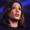 Que sait-on de l’emploi de Kamala Harris chez McDonald’s, contesté par Donald Trump ?