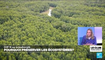 COP16 sur la biodiversité : pourquoi préserver les écosystèmes ?