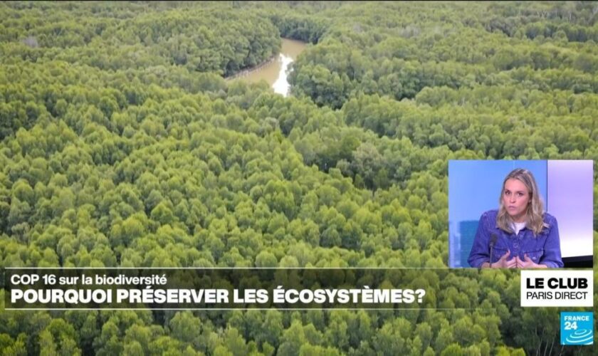 COP16 sur la biodiversité : pourquoi préserver les écosystèmes ?