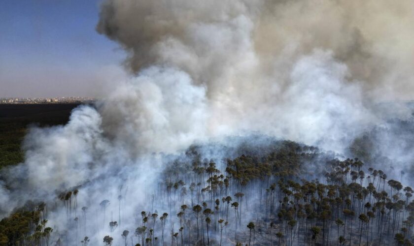 Le réchauffement climatique augmente les décès liés à la pollution provoquée par les incendies, selon une étude