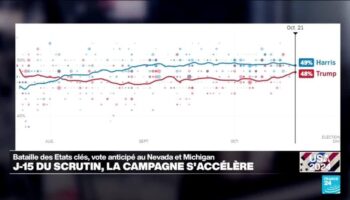 Présidentielle américaine : qu'indiquent les sondages à 15 jours du scrutin ?