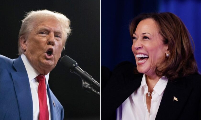 Trump vs Harris : pourquoi les bookmakers ont des prédictions bien différentes des sondages