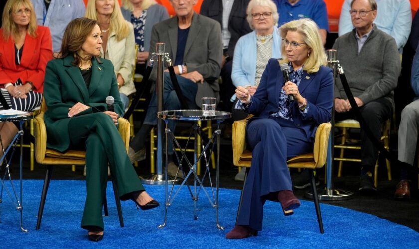 Liz Cheney predicts 'millions of Republicans' will vote for Harris: ‘Vote your conscience’