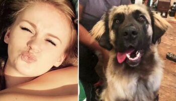 Dog walker mauled to death in park after she 'lost control' of the pack of eight animals