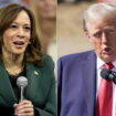 Présidentielle américaine, en direct : Harris à la conquête des républicains quand Trump séduit les minorités