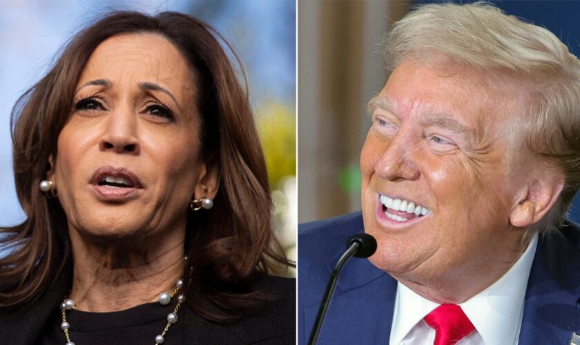 Trump leads Harris in Georgia 2 weeks from Election Day, poll finds