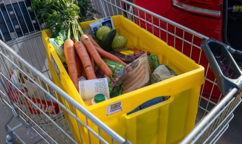 Am 22. Oktober fand der Mitteldeutsche Ernährungsgipfel in Halle statt. (Symbolbild) Foto: Hendrik Schmidt/dpa