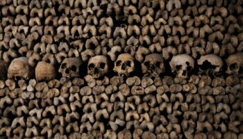 Les secrets de près de 6 millions de personnes dont les os jonchent les catacombes de Paris bientôt révélés