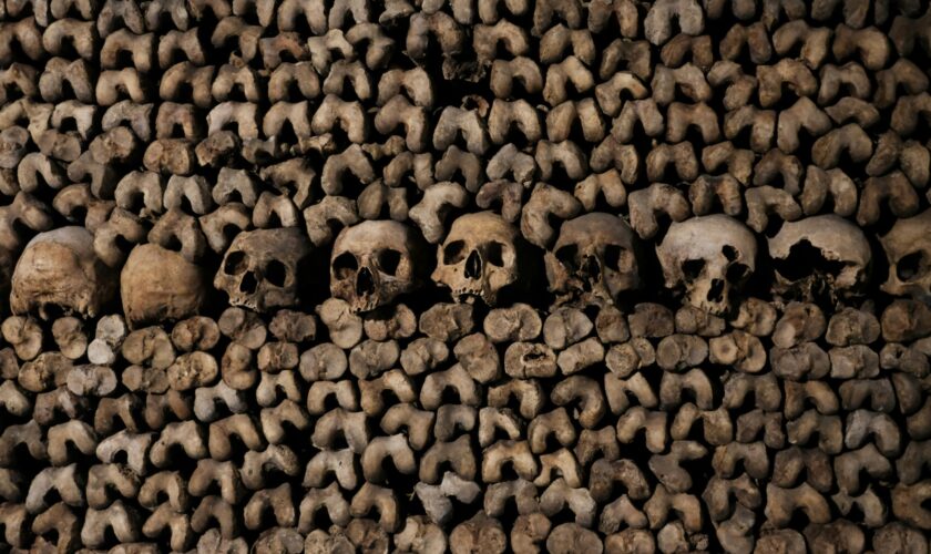 Les secrets de près de 6 millions de personnes dont les os jonchent les catacombes de Paris bientôt révélés