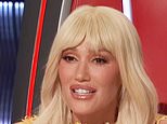 Plastic surgeons explain Gwen Stefani's 'unrecognizable' new face - and how much it cost