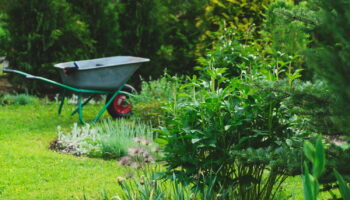 Tous ces Français doivent le faire dans leur jardin : l'oubli peut coûter jusqu'à 1500 euros d'amende