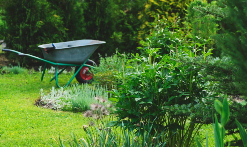 Tous ces Français doivent le faire dans leur jardin : l'oubli peut coûter jusqu'à 1500 euros d'amende