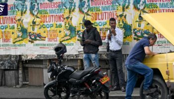 COP16 in Kolumbien: Guerilla-Angriffe nahe Veranstaltungsort von UN-Artenschutzkonferenz