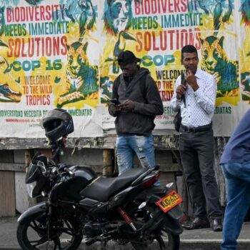 COP16 in Kolumbien: Guerilla-Angriffe nahe Veranstaltungsort von UN-Artenschutzkonferenz