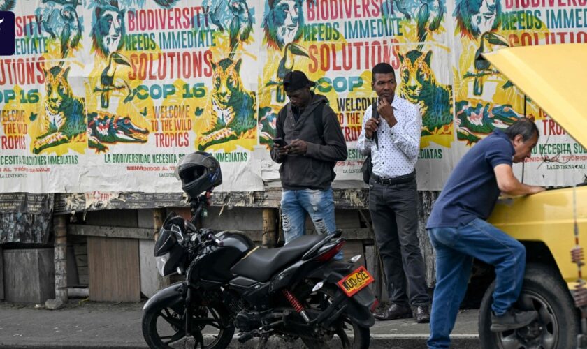 COP16 in Kolumbien: Guerilla-Angriffe nahe Veranstaltungsort von UN-Artenschutzkonferenz