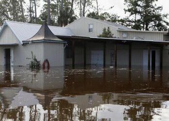 Florida meldet 13 Todesfälle durch fleischfressende Bakterien nach Wirbelstürmen