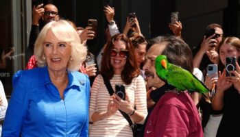 Queen Camilla's bizarre encounter with cute parrot amid Australia royal tour