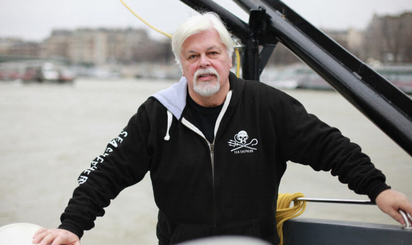 « Monsieur le Président, la France doit accorder l’asile politique à Paul Watson ! » - TRIBUNE