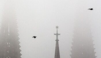 Der Deutsche Wetterdienst erwartet bis zum Wochenende Nebel in NRW, der sich tagsüber teils nur zäh auflösen soll. (Symbolbild)