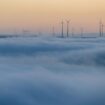 Der Deutsche Wetterdienst erwartet in Rheinland-Pfalz und im Saarland weiter Nebel - sonst aber ruhiges, mildes Herbstwetter. (S