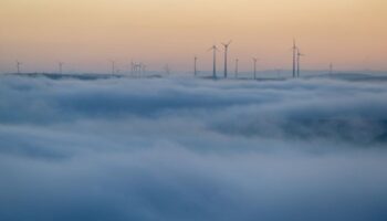 Der Deutsche Wetterdienst erwartet in Rheinland-Pfalz und im Saarland weiter Nebel - sonst aber ruhiges, mildes Herbstwetter. (S