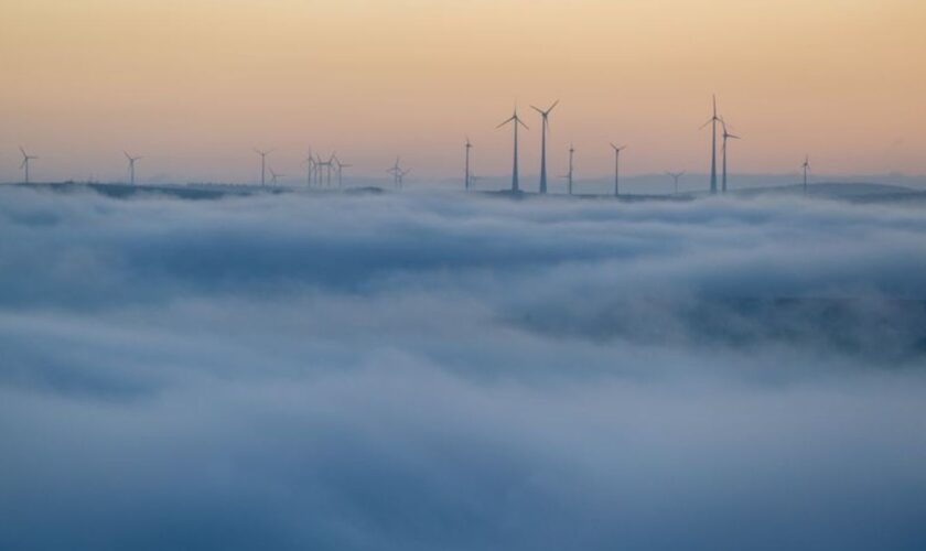 Der Deutsche Wetterdienst erwartet in Rheinland-Pfalz und im Saarland weiter Nebel - sonst aber ruhiges, mildes Herbstwetter. (S