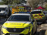 Tragedy as three people die and four rushed to hospital after 'suspected carbon monoxide leak' at Dorset care home - as Hazmat responders scramble to scene