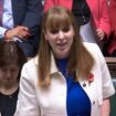 Angela Rayner brutally slaps down Tories with witty reply to 'working people' question