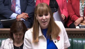 Angela Rayner brutally slaps down Tories with witty reply to 'working people' question