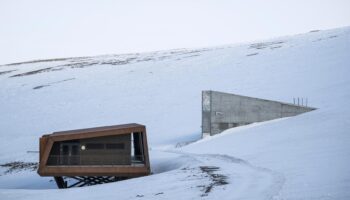 Guerre à Gaza : des graines de Palestine envoyées en Arctique pour sauver le patrimoine génétique agricole