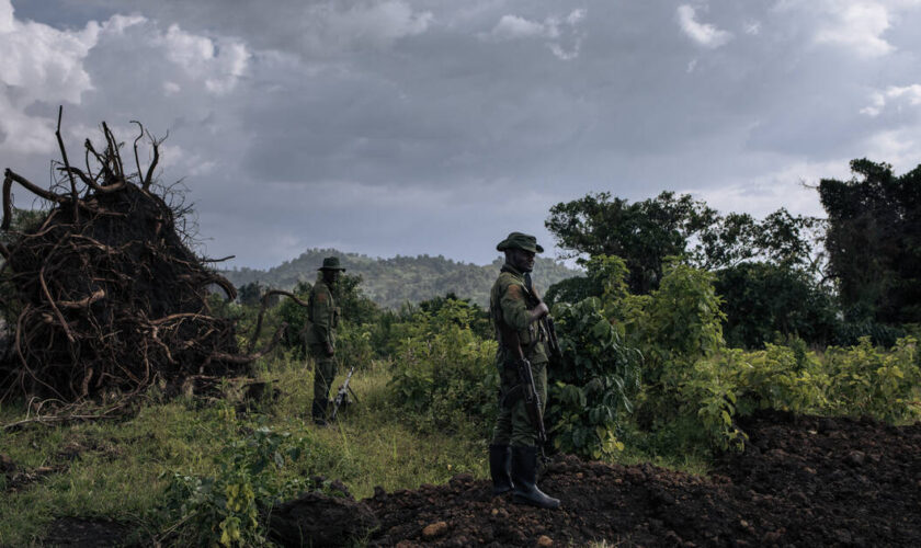 RDC : le combat de Bantu Lukambo pour sauver un paradis naturel malgré la guerre