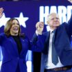 Face à Donald Trump, Kamala Harris et les démocrates flirtent avec l’outrance pour ratisser large