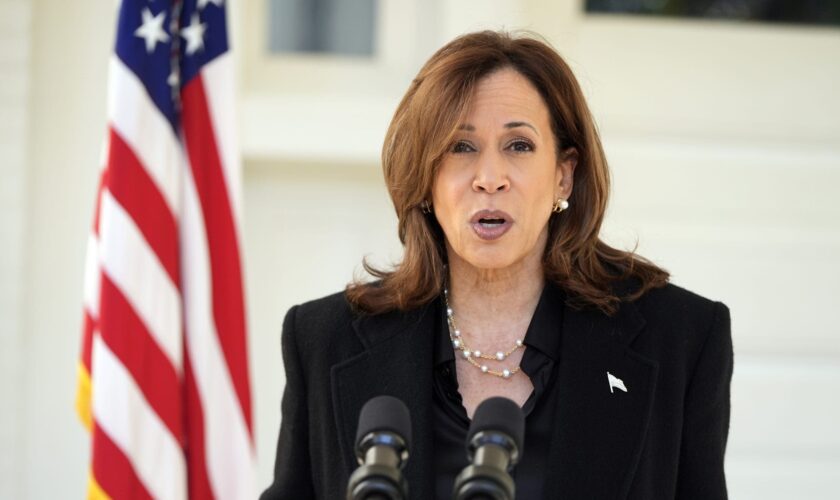 Harris accuses Trump of seeking 'unchecked power,' being 'unhinged and unstable'