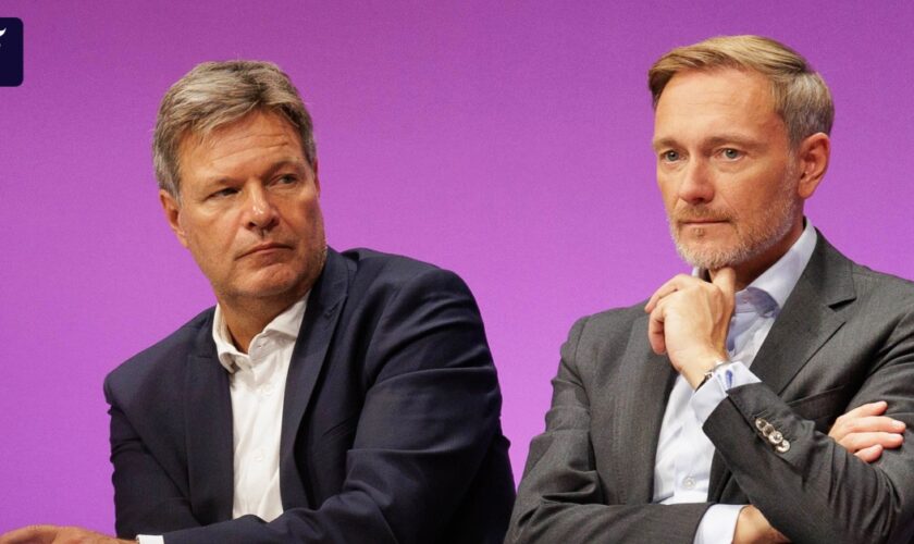 „Das ist schon ein Hammer": Koalitionsstreit über Habecks geplanten Investitionsfonds