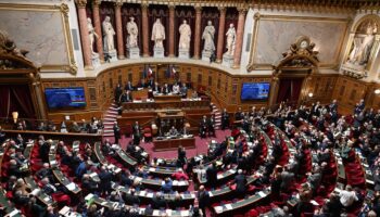 Nouvelle-Calédonie : le Sénat unanime pour reporter les élections provinciales